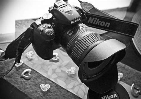 The Best DSLR Camera: 2023 Review - Family Hype