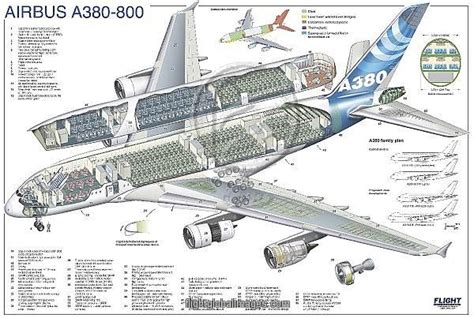 Cutaways (Cutaway Posters) Gallery. Framed Photos, Premium Framing ...