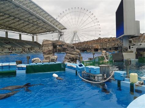 Top 4 Things to Do at the Port of Nagoya Public Aquarium | Must-See ...