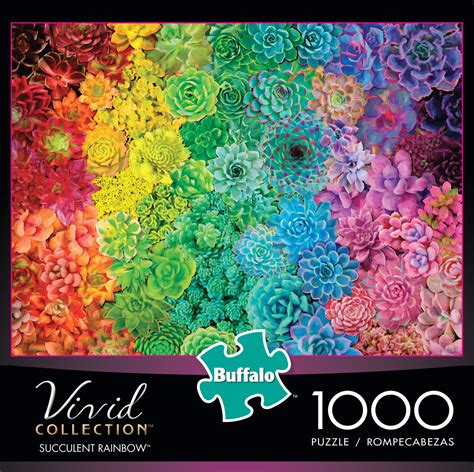 Buffalo Games Vivid Collection Succulent Rainbow 1000 Piece Puzzle – The Puzzle Collections