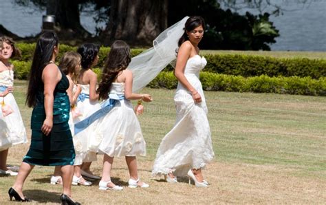 Actor Cliff Curtis Bride editorial image. Image of wedding - 12338880