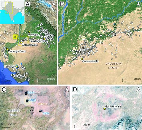 Location map of the Cholistan Desert. (A) Distribution of Indus sites ...