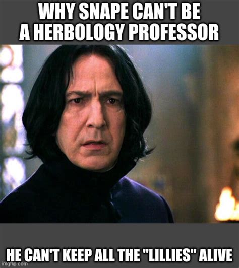 only HP fans will understand lol - Imgflip