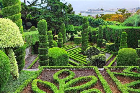 The Funchal botanic garden. - Madeira - Portugal