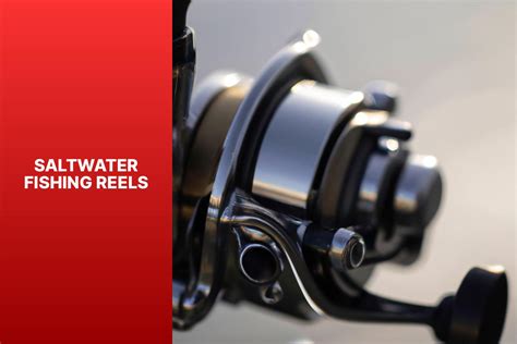 What to Look For With Saltwater Fishing Reels - OutdoorGearExpert.com