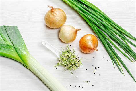 Fresh green young onion - Creative Commons Bilder