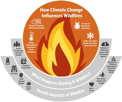 Face-to-face with scorching wildfire: potential toxicant exposure and ...