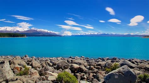 Visit Pukaki: 2024 Travel Guide for Pukaki, Canterbury | Expedia