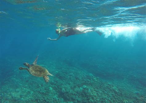 Honolua Bay | The Best Snorkeling in Maui | Seattle Bloggers