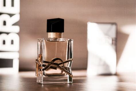 theNotice - YSL Libre review: Come on; let's get a little androgynous ...