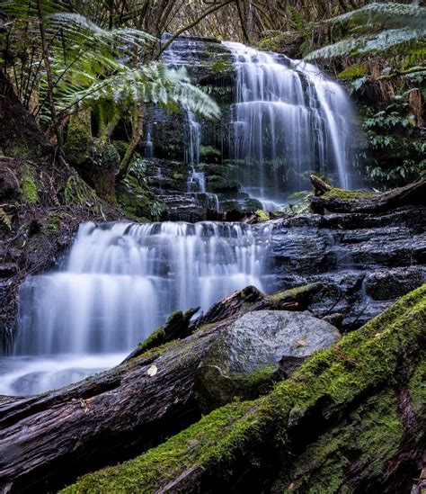 10 Must Visit Waterfalls In Southern Tasmania - Hobart and Beyond ...