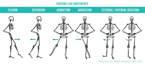 Why do we get hip pain and what can we do about it? - Sequence Wiz