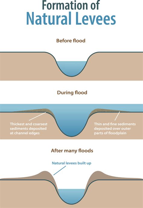 Levees Diagram