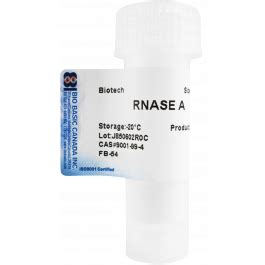 RNase A | Bio Basic