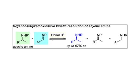 Oxidative Kinetic Resolution of Acyclic Amines Based on Equilibrium ...