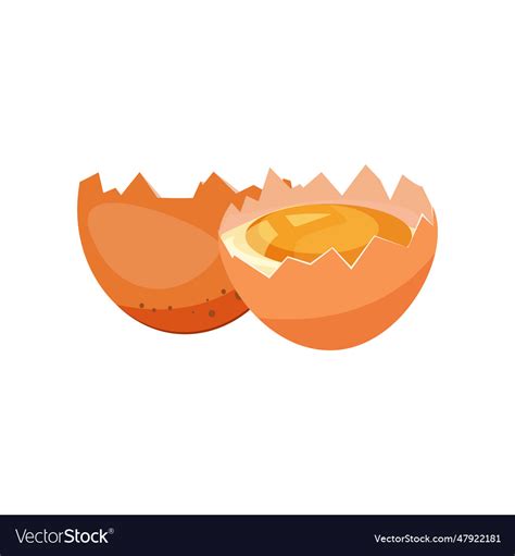 Egg shells Royalty Free Vector Image - VectorStock