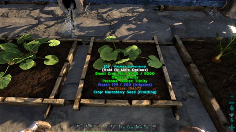 Narcoberries & Seeds - Ark: Survival Evolved