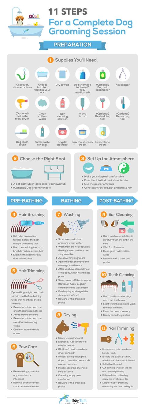 11 Quick Steps for a Complete Dog Grooming Session [Infographic] in 2024 | Dog grooming salons ...