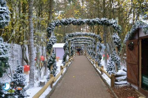 Winter Wonderland At Center Parcs, Sherwood Forest | Review On The ...