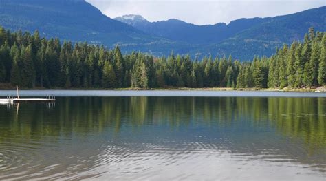 Whistler Walk - Lost Lake Nature Trail - A walk and a lark