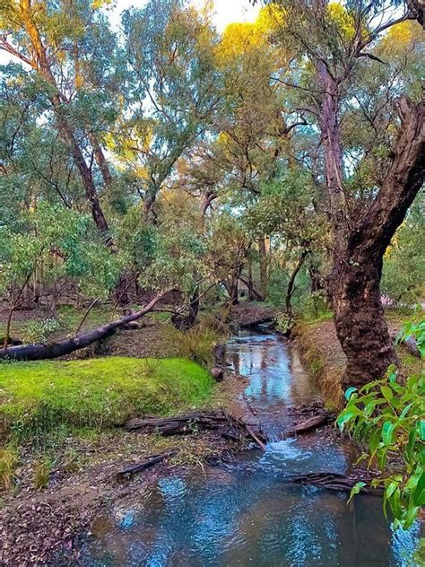 Kalamunda National Park | Landscape, National parks, Western australia