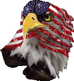 America Eagle Sticker - America Eagle Sparkle - Discover & Share GIFs