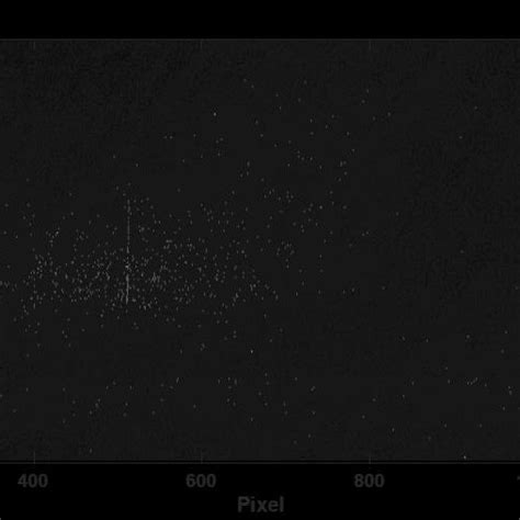 Figure S1: Representative CCD Image. Average CCD image of the ...