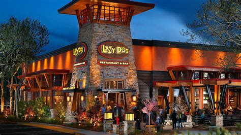 Updating the Lazy Dog Restaurant & Bar Coming to Town Square - Eater Vegas