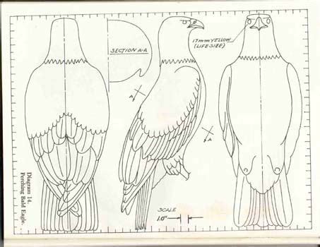 Eagle patterns chainsaw carving | Wood Stuff | Pinterest | Chainsaw ...