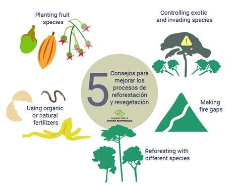 5 tips to improve reforestation and revegetation processes efficiency to face climate change - ARM