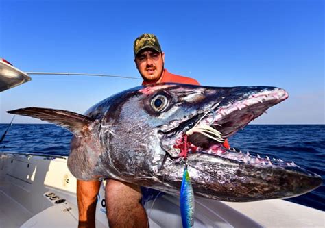 Michael Bonnici lands enormous 101kg dogtooth tuna - Fishing World