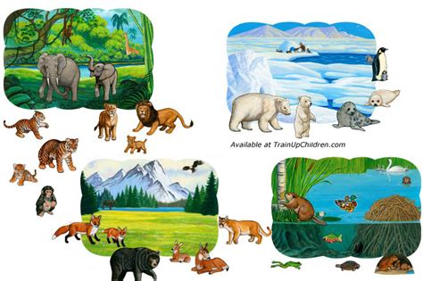 SCIENCESATIONAL: ANIMAL HABITATS