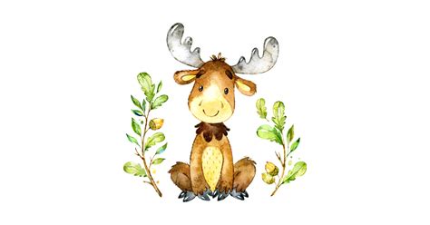 baby moose clipart 10 free Cliparts | Download images on Clipground 2024