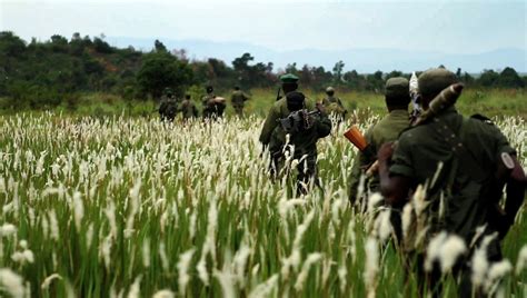 ‘Virunga,’ a Searing Documentary Set in Congo - The New York Times