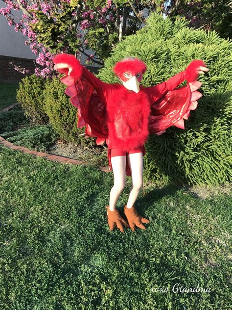 xoxo Grandma: Make a Child's Red Bird Costume