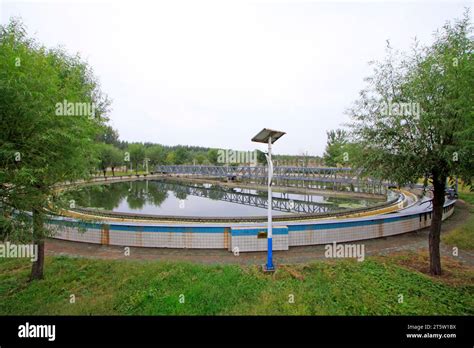 Wastewater treatment plant settling pond, closeup of photo Stock Photo - Alamy