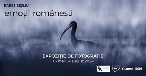 Romanian wildlife in the spotlight at temporary photo exhibition hosted ...