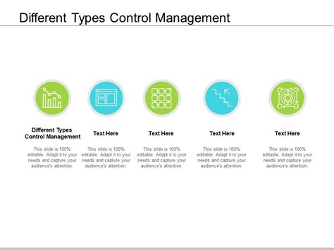 Types of control in management