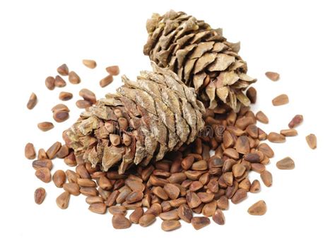 Pine nuts and cones stock image. Image of macro, core - 113525351