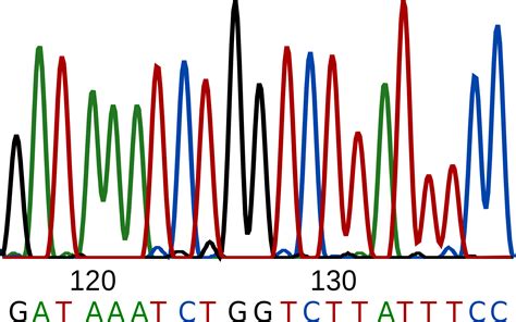 Main Sequence Cliparts 1, Buy Clip Art - Sanger Sequencing - (2000x1295) Png Clipart Download