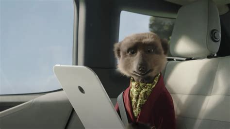 Compare the Market pulls Compare the Meerkat advertising during TV news broadcasts | ITV News Anglia