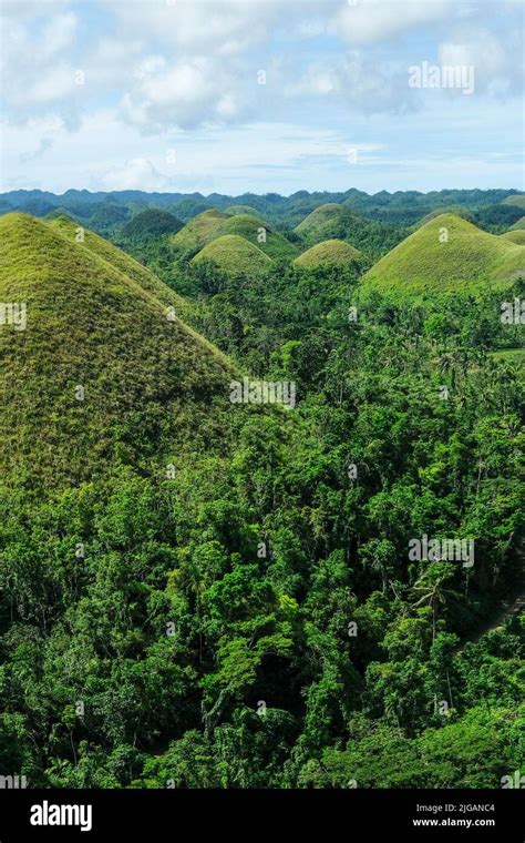 The Chocolate Hills are a geological formation in Bohol Island ...