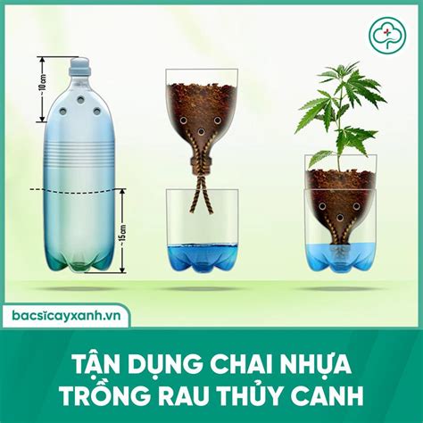 Rất Hay: Trồng rau thủy canh tại nhà không khó nếu bạn biết những mẹo này