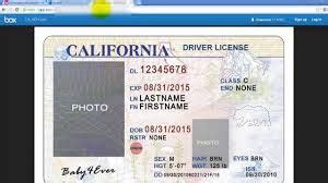 Image result for california id template 2017 | Id card template, Drivers license california, Ca ...