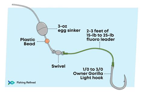 Carolina Rig Guide: Everything You Need To Know - Fishing Refined