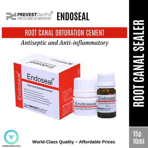 Endoseal | Viva Dentista