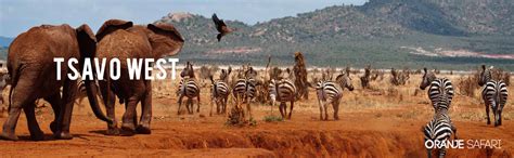 Tsavo West Safari Park Kenya