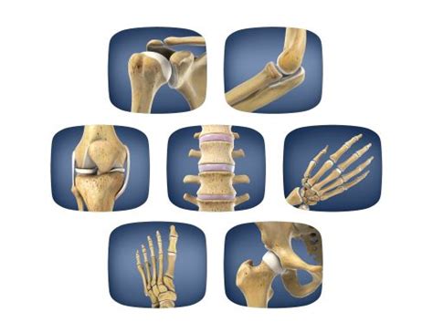 Orthopedic Conditions & Treatments | Regenerative Medicine ...