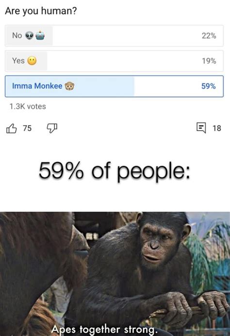 mmm... monke : r/memes