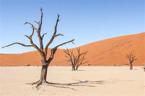 The Namibian Sossusvlei: Plan The Perfect Visit